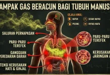 Waspadai Gas Beracun Bagi Tubuh Manusia dalam Kehidupan Sehari-hari