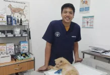 Hari Zoonosis Sedunia, Masyarakat Diimbau Wasapada Penyakit Menular dari Hewan
