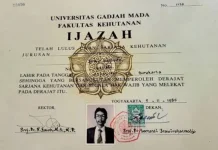 Jokowi Akan Bawa Ijazah Mulai dari Jenjang SD, SMP, SMA hingga S1
