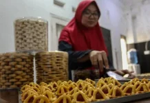 Ide Bisnis Rumahan