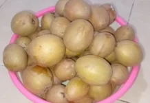 Manfaat Buah Sawo untuk Kesehatan