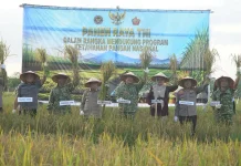 Kegiatan Panen Raya Padi Serentak, Memperkuat Sektor Pertanian Nasional