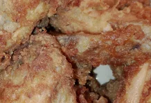 Ayam Goreng Anti Lengket dan Renyah Dimakan