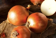 Peran Bawang Bombai Dalam Industri Kuliner