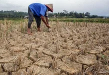 PPL Muara Sebo Ilir Siapkan Mitigasi Hadapi Musim Kemarau