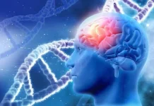 Usia Paling Rentan Penyakit Neurologis