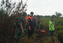 Satgas Karhutla Tinjau Lokasi Karhutla di Muaro Jambi
