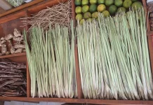 Serai, Rempah Dapur yang Memberikan Aroma Khas pada Masakan Nusantara