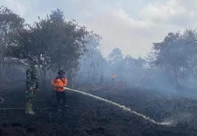 Musim Kemarau Mencapai Puncak Warga Batang Hari Dilarang Bakar Lahan