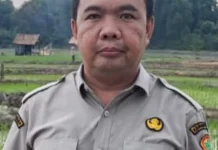 Penyuluh dan POPT Perkuat Pengawasan Hama saat Musim Kemarau