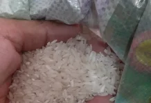 Program BMAAS Siap Diterapkan di Tanjab Timur, Produktivitas Padi Ditarget Naik