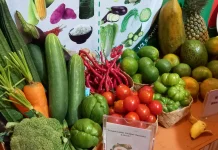 Terdampak Kemarau Produksi Sayuran Diperkirakan Menurun