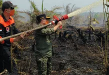 Gubernur Al Haris: Api Sudah 3 Hari, Gambut Sulit Dipadamkan