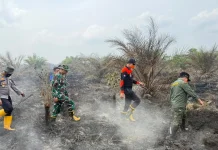 Kapolda Jambi Pastikan Penanganan Karhutla di Sungai Gelam Terus Dilakukan