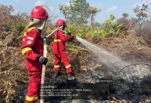 Upaya Pemadaman Kebakaran Lahan Gambut di Sungai Gelam Memasuki Hari Kelima