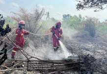 Angin Kencang dan Sumber Air Terbatas Hambat Pemadaman Karhutla Sungai Gelam