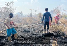 Karhutla Berulang, KKI Warsi Dorong Penegakan Hukum terhadap Pembakar Lahan