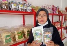 UMKM Muaro Jambi Tembus 27 Ribu, Pemkab Dorong Inovasi dan Pemanfaatan Teknologi