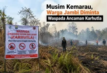 Musim Kemarau, Warga Jambi Diminta Waspada Ancaman Karhutla
