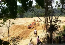 Darurat Lahan di Jambi Terdampak Penambangan Emas tanpa Izin