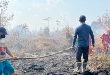 Satu Titik Karhutla Masih Ditangani di Muaro Jambi