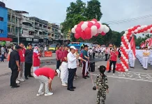 Wagub Jambi Lepas Pawai Pembangunan Semarakan HUT RI ke-81