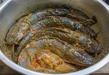 Resep Membuat Lele Marinasi yang Gurih dan Lezat