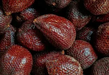Salak Mengandung Serat bisa membantu Pencernaan