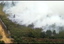 Musim Kemarau, Warga Jambi Diminta Waspada Karhutla