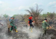 Pemerintah Sediakan Alat Berat untuk Cegah Masyarakat Buka Lahan dengan Membakar