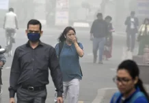 Kabut Asap Mulai Selimuti Jambi, Kualitas Udara Masuk Kategori Tidak Sehat