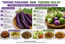 Terong Panjang dan Terong Bulat, Sama-Sama Terong tetapi Punya Karakter Berbeda