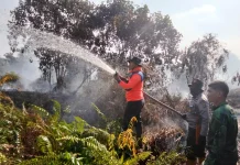 Pemadaman Karhutla Batanghari Terkendala Jarak Pandang dan Sumber Air Menipis