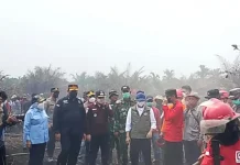 Kajati Jambi Ikuti Rakor dan Pantau Penanganan Karhutla Bersama Menhut