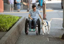 Manfaat Memelihara Anjing Membantu Kehidupan Manusia