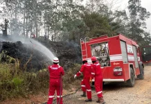 Pertamina EP Bantu Padamkan Lima Titik Kebakaran Lahan di Jambi