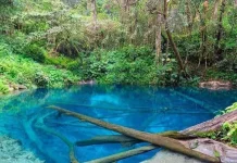 Hari Danau Sedunia Setiap Tanggal 27 Agustus