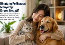 Binatang Peliharaan dan Anggapan Mampu Menyerap Energi Negatif