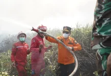 Gubernur Ikut Upaya Pemadaman Karhutla di Tanjabtim