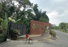 Museum Sriwijaya Dharmakirti Muaro Jambi di Buka untuk Umum