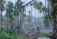 Hujan Turun di Tanjabtim usai OMC, Warga; Alhamdulillah