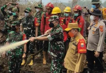 Gubernur Bersama Pangdam TIB Turun ke Kawasan Gambut Padamkan Karhutla