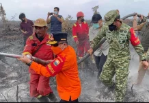Gubernur Ikut Padamkan Karhutla di Muaro Jambi
