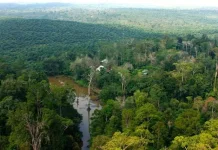 Tanah Adat Bukan Sekadar Aset Fisik