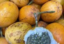 Manfaat Buah Markisa