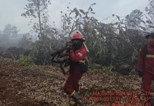 ISPA Capai Ribuan Kasus, Ketua DPRD Prov Jambi Minta Pembakar Lahan Diberi Efek Jera