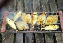 Resep Praktis Gurih Manis Ikan Bawal Bakar