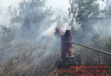Karhutla Hutan Lindung Gambut Londerang Berhasil Dipadamkan