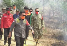 Upaya Penanganan Karhutla, Taman Hutan Raya Batang Hari Kembali Menjadi Perhatian