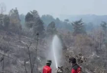 Gubernur Pantau Karhutla Tahura di Batang Hari, Dua Waterbombing Disiapkan